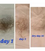 Have Hair Regrowing Spray - Image 6