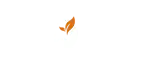 Sqin Logo